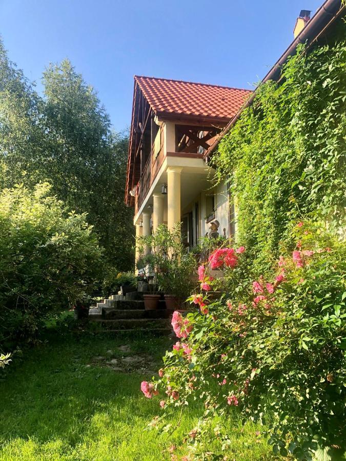 Bed and Breakfast Modryna Ranczo Красічин Екстер'єр фото