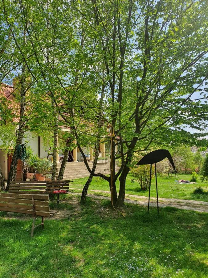 Bed and Breakfast Modryna Ranczo Красічин Екстер'єр фото